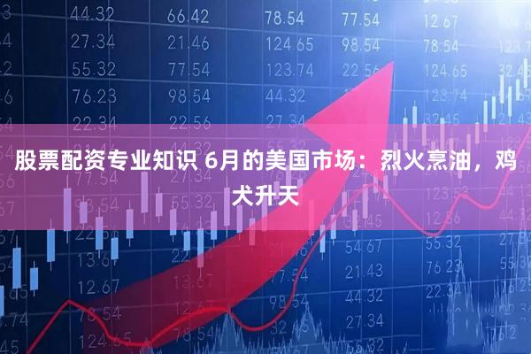 股票配资专业知识 6月的美国市场：烈火烹油，鸡犬升天